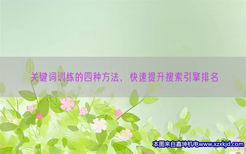 关键词训练的四种方法，快速提升搜索引擎排名(pic1)