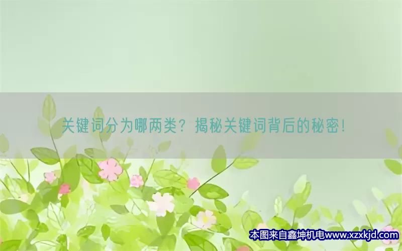 关键词分为哪两类？揭秘关键词背后的秘密！(pic1)