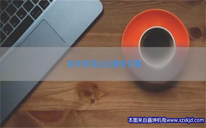 如何使用必应搜索引擎(pic1)