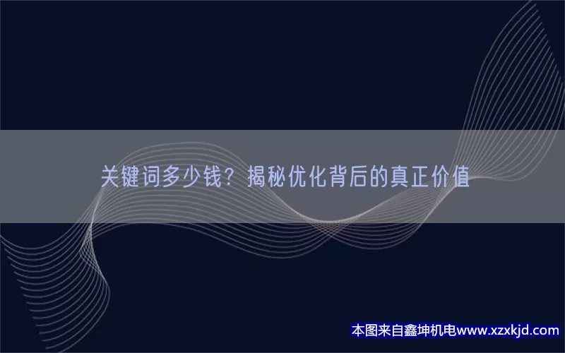 关键词多少钱？揭秘优化背后的真正价值(pic1)