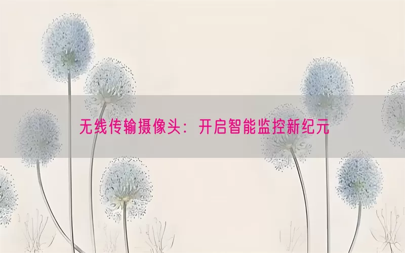 无线传输摄像头:开启智能监控新纪元
