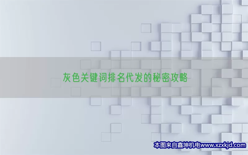 灰色关键词排名代发的秘密攻略(pic1)