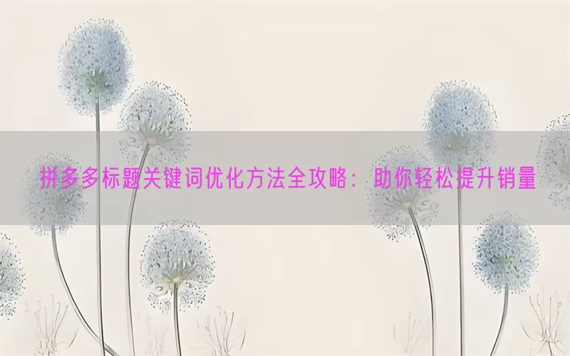 拼多多标题关键词优化方法全攻略：助你轻松提升销量