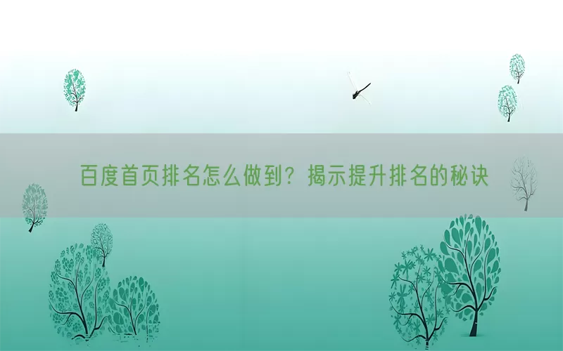 百度首页排名怎么做到?揭示提升排名的秘诀