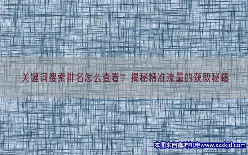 关键词搜索排名怎么查看？揭秘精准流量的获取秘籍(pic1)
