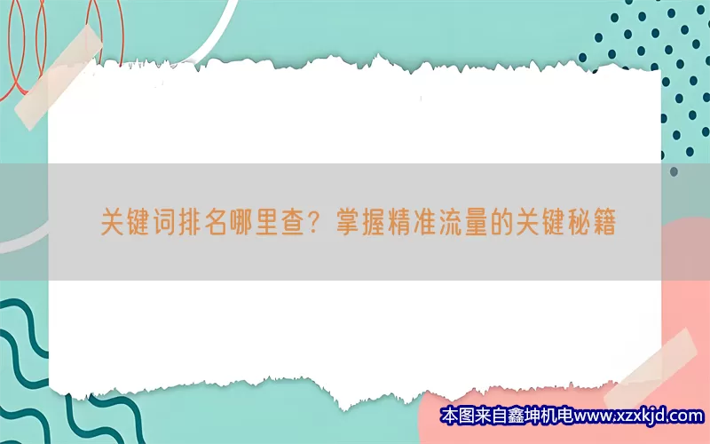 关键词排名哪里查？掌握精准流量的关键秘籍(pic1)
