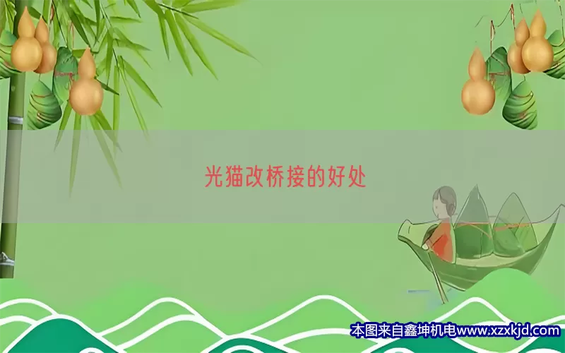 光猫改桥接的好处(pic1)