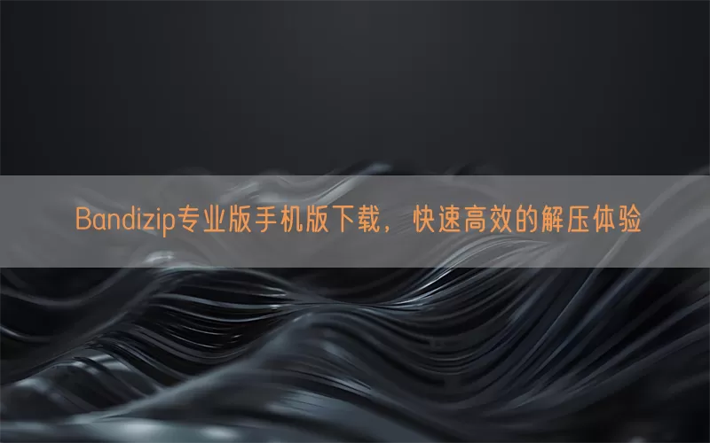 Bandizip专业版手机版下载，快速高效的解压体验