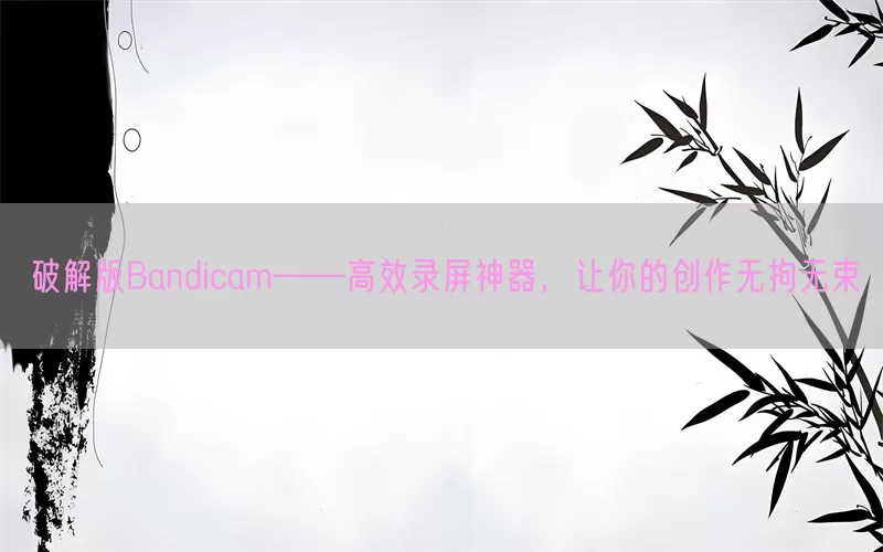 破解版Bandicam——高效录屏神器，让你的创作无拘无束