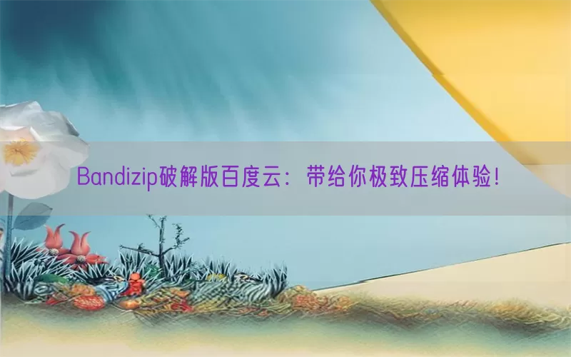 Bandizip破解版百度云：带给你极致压缩体验！