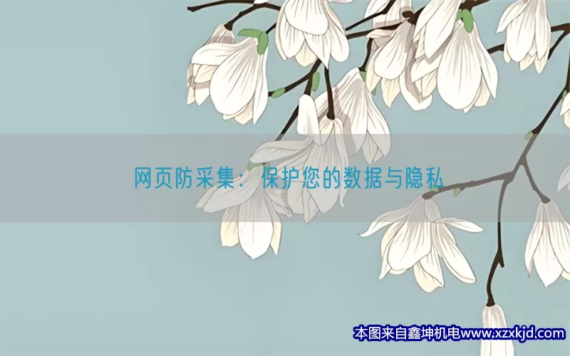 网页防采集：保护您的数据与隐私(pic1)