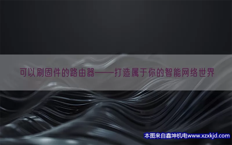 可以刷固件的路由器——打造属于你的智能网络世界(pic1)