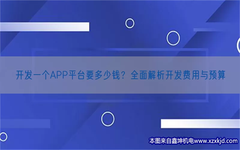 开发一个APP平台要多少钱？全面解析开发费用与预算(pic1)