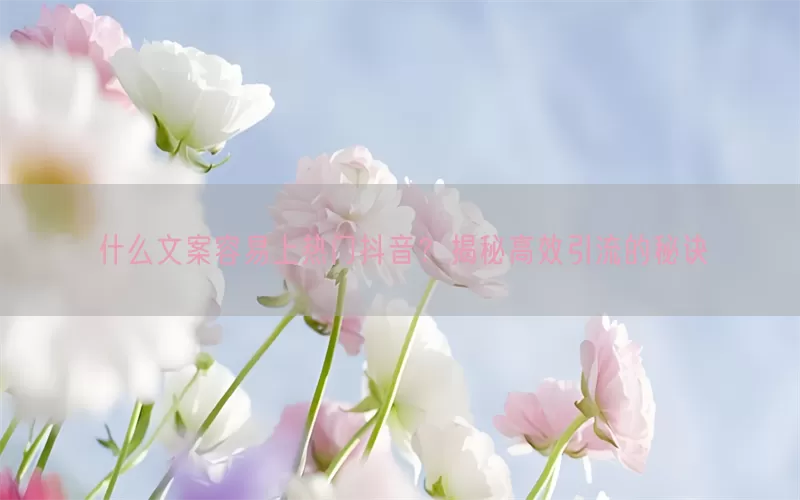 什么文案容易上热门抖音？揭秘高效引流的秘诀