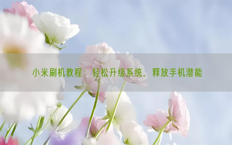 小米刷机教程：轻松升级系统，释放手机潜能