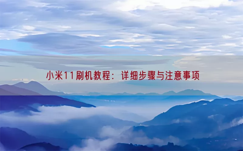 小米11刷机教程：详细步骤与注意事项