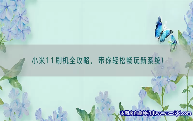 小米11刷机全攻略，带你轻松畅玩新系统！(pic1)