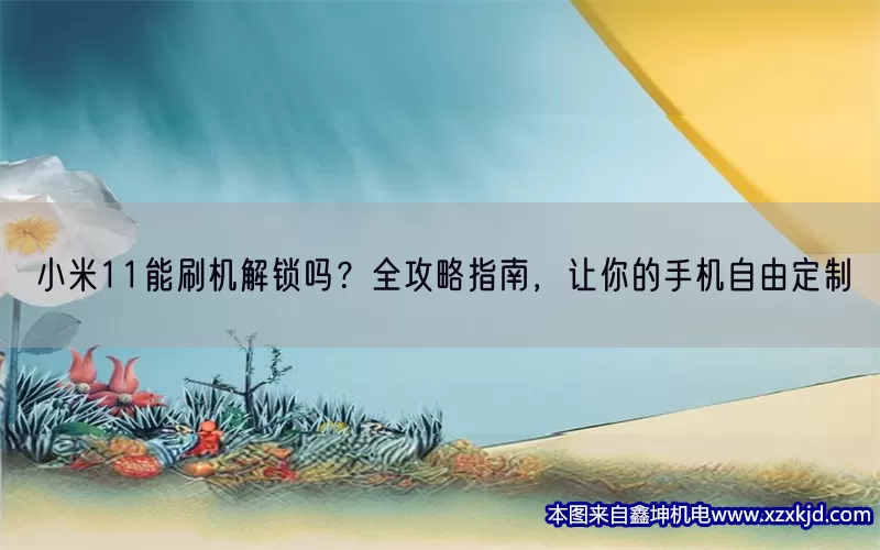 小米11能刷机解锁吗？全攻略指南，让你的手机自由定制(pic1)