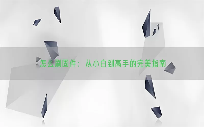 怎么刷固件：从小白到高手的完美指南