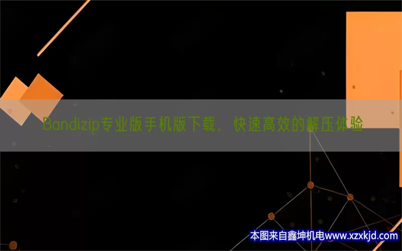 Bandizip专业版手机版下载，快速高效的解压体验(pic1)
