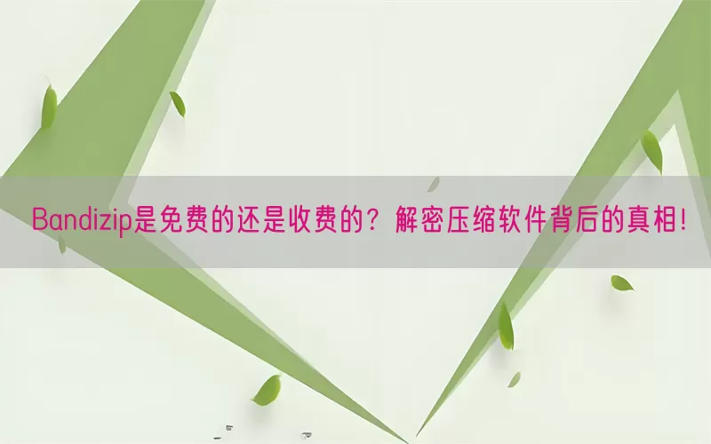 Bandizip是免费的还是收费的？解密压缩软件背后的真相！