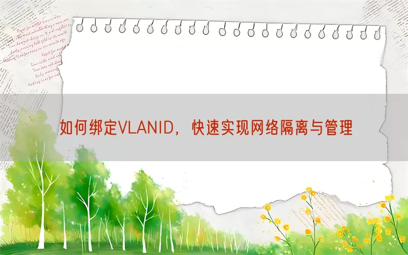 如何绑定VLANID，快速实现网络隔离与管理