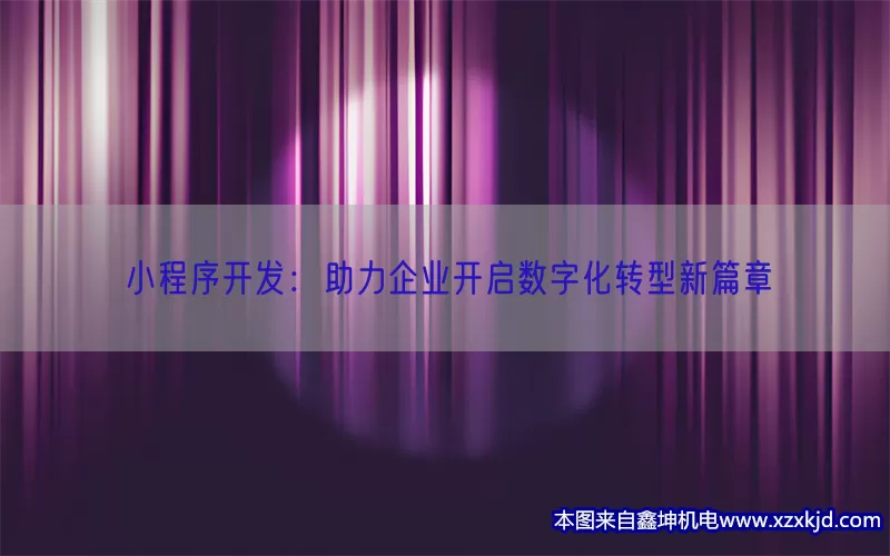 小程序开发：助力企业开启数字化转型新篇章(pic1)