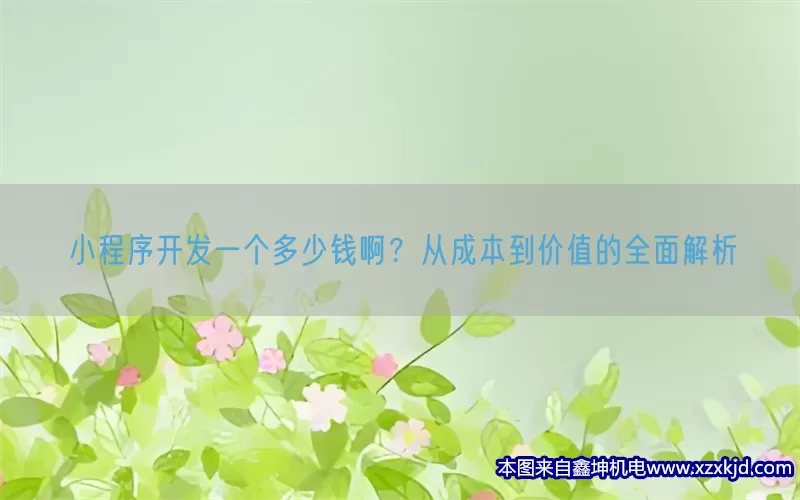 小程序开发一个多少钱啊？从成本到价值的全面解析(pic1)