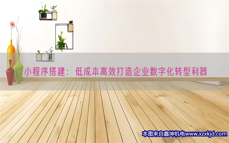 小程序搭建：低成本高效打造企业数字化转型利器(pic1)