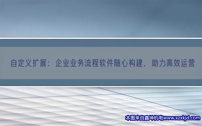 自定义扩展：企业业务流程软件随心构建，助力高效运营(pic1)