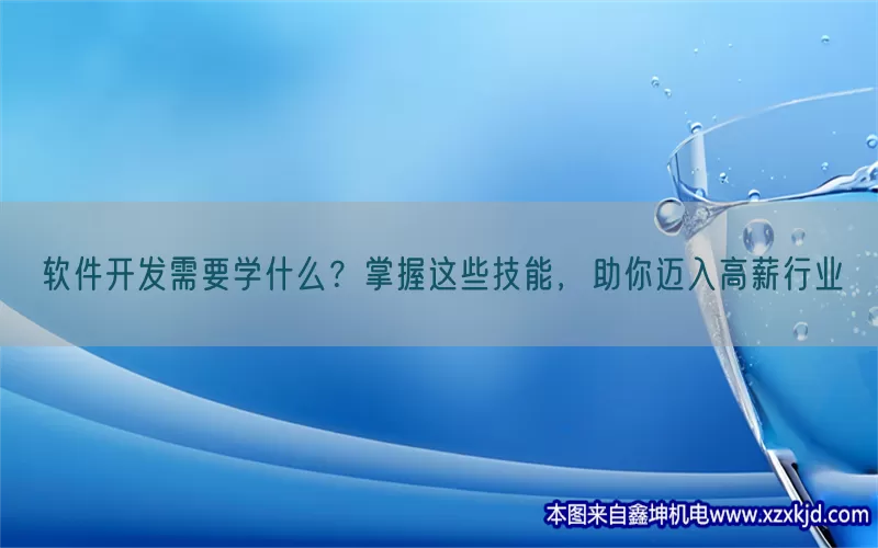 软件开发需要学什么？掌握这些技能，助你迈入高薪行业(pic1)