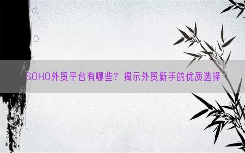 SOHO外贸平台有哪些？揭示外贸新手的优质选择