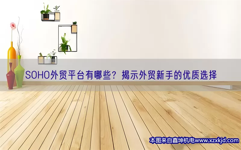 SOHO外贸平台有哪些？揭示外贸新手的优质选择(pic1)