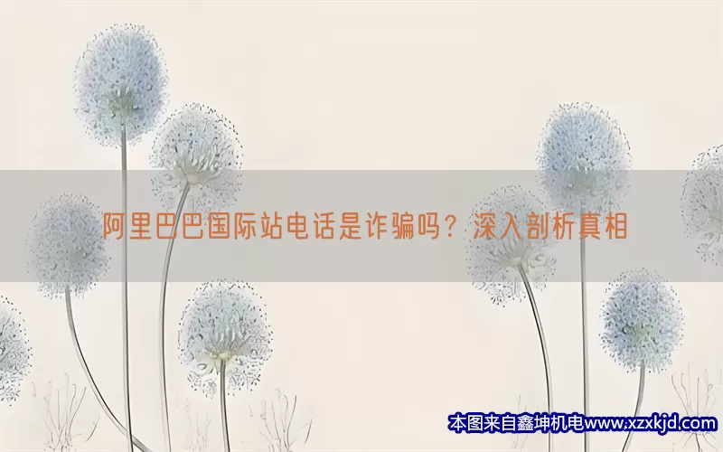 阿里巴巴国际站电话是诈骗吗？深入剖析真相(pic1)