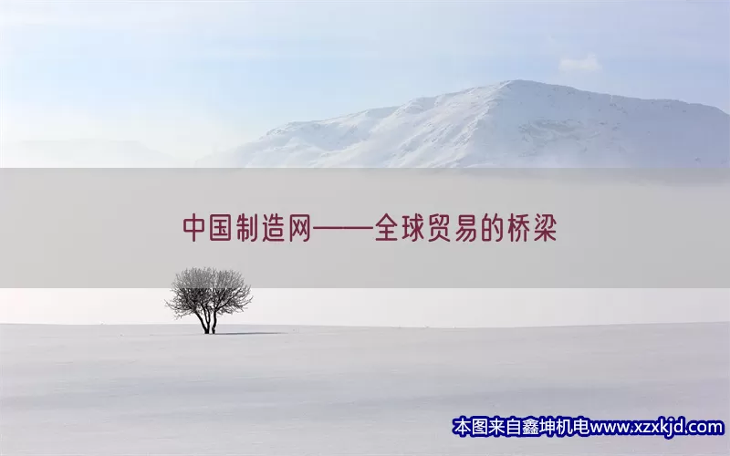 中国制造网——全球贸易的桥梁(pic1)