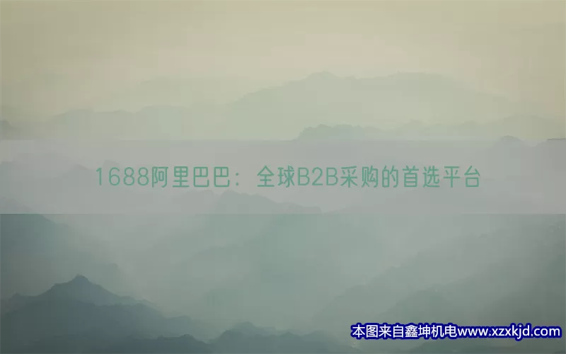 1688阿里巴巴：全球B2B采购的首选平台(pic1)