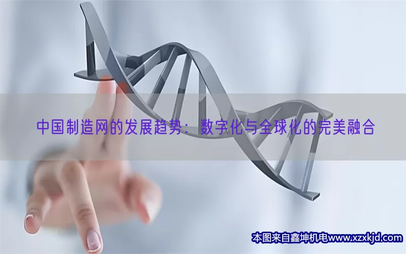 中国制造网的发展趋势：数字化与全球化的完美融合(pic1)