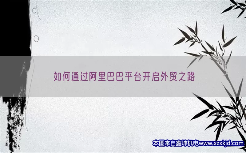 如何通过阿里巴巴平台开启外贸之路(pic1)