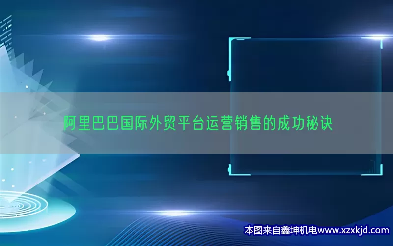 阿里巴巴国际外贸平台运营销售的成功秘诀(pic1)