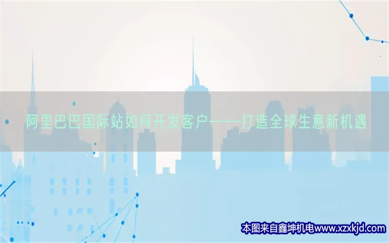 阿里巴巴国际站如何开发客户——打造全球生意新机遇(pic1)