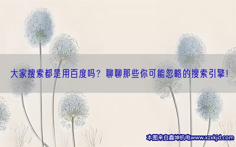 大家搜索都是用百度吗？聊聊那些你可能忽略的搜索引擎！(pic1)