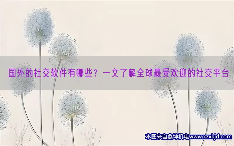 国外的社交软件有哪些？一文了解全球最受欢迎的社交平台(pic1)