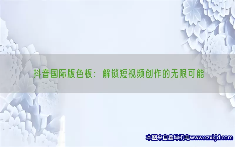 抖音国际版色板：解锁短视频创作的无限可能(pic1)