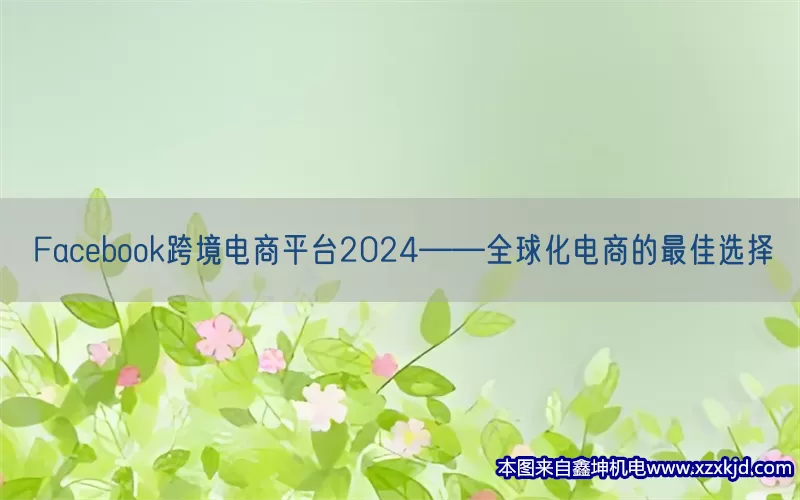 Facebook跨境电商平台2024——全球化电商的最佳选择(pic1)