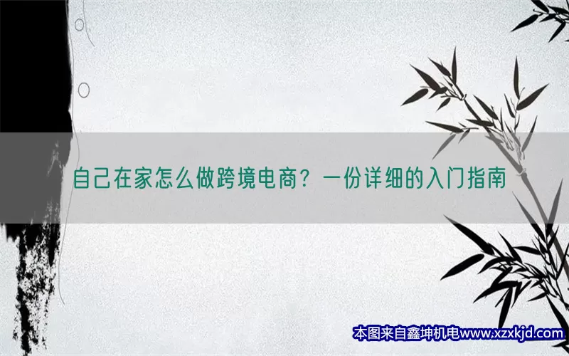 自己在家怎么做跨境电商？一份详细的入门指南(pic1)