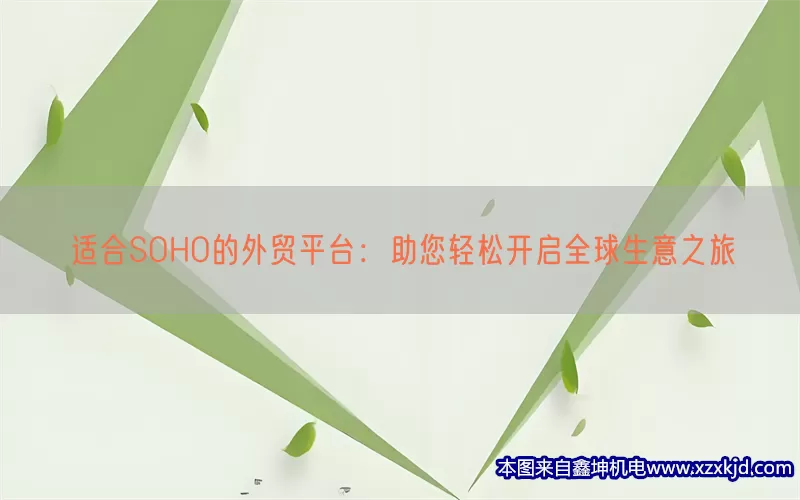 适合SOHO的外贸平台：助您轻松开启全球生意之旅(pic1)