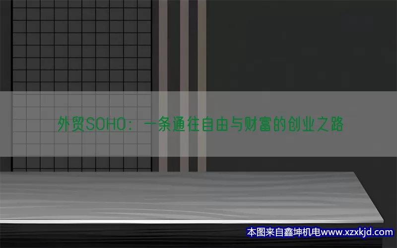 外贸SOHO：一条通往自由与财富的创业之路(pic1)