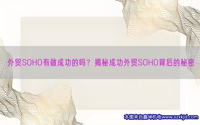外贸SOHO有做成功的吗？揭秘成功外贸SOHO背后的秘密(pic1)