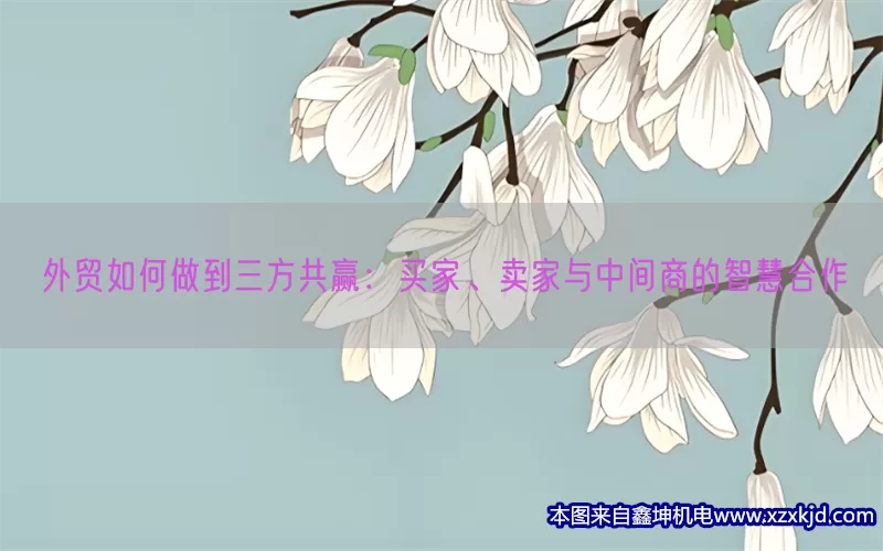 外贸如何做到三方共赢：买家、卖家与中间商的智慧合作(pic1)