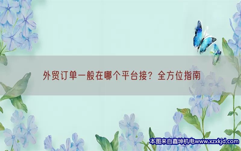 外贸订单一般在哪个平台接？全方位指南(pic1)